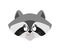 ÐžÑÐ½Ð¾Ð²Ð½Ñ‹Ðµ RGBRaccoon confused oops. Racoon perplexed emotions. Coon surprise. Vector illustration